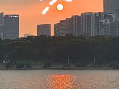 -深圳湾公园(南山区)