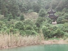 -旺山景区