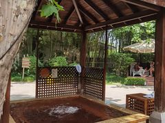 -春晖园度假酒店温泉