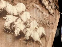 -秦始皇帝陵博物院-丽山园