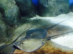 -福州罗源湾海洋世界旅游区