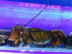 -船梆煮•蒸汽海鲜·生腌干蒸(五四广场店)
