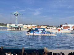 -秦皇岛乐岛海洋王国