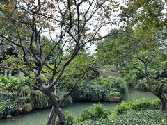 -红梅公园