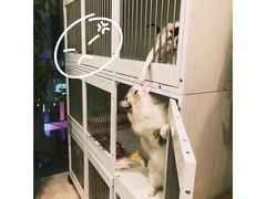 -萌兽医馆·眼科·异宠专科(三里屯店)