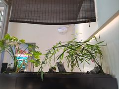-俏立方·15年新楚菜