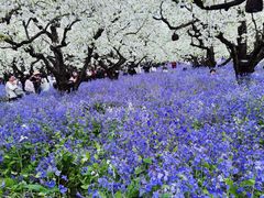-江苏三台山国家森林公园