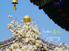 -西安市广仁寺