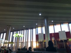 -谢列梅捷沃国际机场
