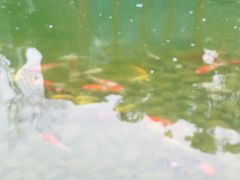-祝家花園(伯渎港店)