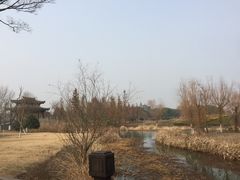 景点-梁鸿国家湿地公园