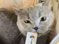 -思琪宠物医院(昆山花桥店)