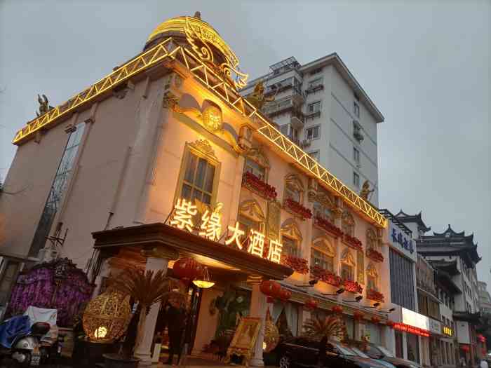 武汉紫缘酒店图片