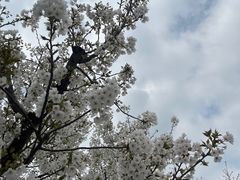 -龙美术馆(西岸馆)