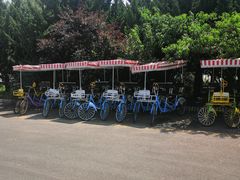 -日照海滨国家森林公园