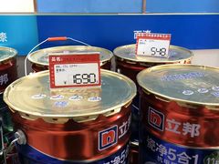 -立邦(宝坻专卖店)