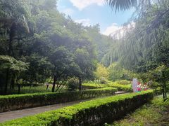 -上海佘山国家森林公园天马山园