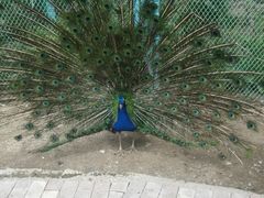 -水上乐园·欢乐世界