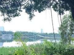 -南宁南湖公园