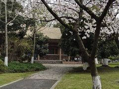 -玄武湖景区-情侣园游乐场