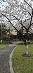 -玄武湖景区-情侣园游乐场