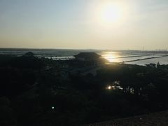 -大湾区中央湿地公园