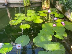 -国家植物园南园