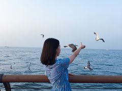 -东港音乐喷泉广场