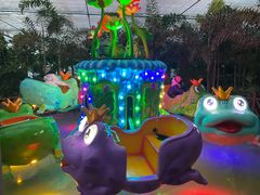 -南宫五洲植物乐园