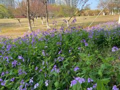 -白塘生态植物园