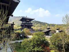 -大唐贡茶院