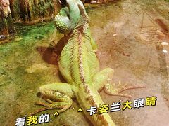 -济南野生动物世界