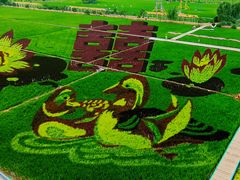 -稻梦空间冰雪小镇