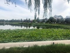 -素心小筑(后沙裕镇店)