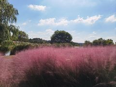 -钟山体育运动公园