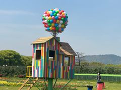 -苏州太湖西山岛开心农场