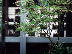 -四方茶集·茶馆(南山科技园店)
