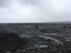 -夏威夷火山国家公园