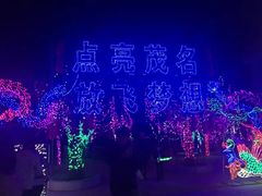 -广东茂名森林公园