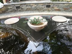 -碧水湾温泉
