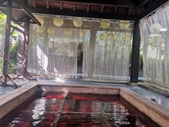 -杭州第一世界大酒店·云曼温泉