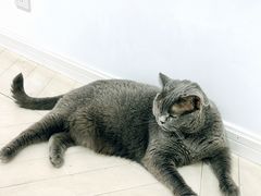 -四川北路(地铁站)