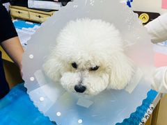 -美联众合动物医院·24h京西诊疗中心