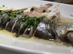-绿杨春·淮扬宴(庐山路店)