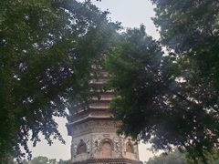 -玲珑塔公园