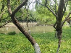 -瀛洲公园