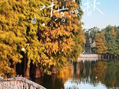 -厦门园林博览苑