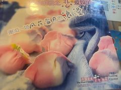 -宝源饺子(麦子店街店)