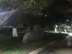 -昆山城市公园