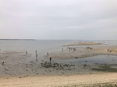 -北海金海湾红树林生态旅游区